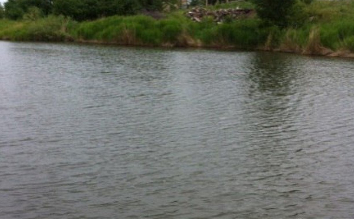 В Кимовском районе в пруду утонул пьяный мужчина