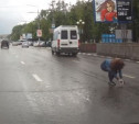 Тулячка спасла котёнка из-под колёс автомобилей на проспекте Ленина
