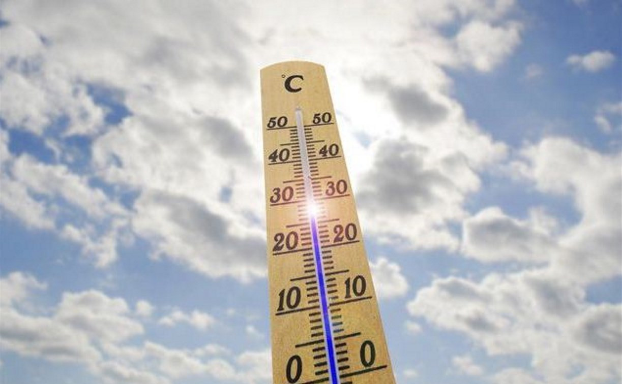 Погода в Туле 29 июня: жарко и сухо, легкий ветер