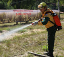 Тульский лесной пожарный поборется за звание лучшего в России