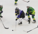 Новомосковская «Виктория» вышла в финал хоккейного турнира