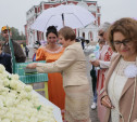 В Туле прошла благотворительная акция «Белый цветок» 