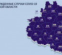 Названы самые зараженные коронавирусом города Тульской области: карта на 9 июня