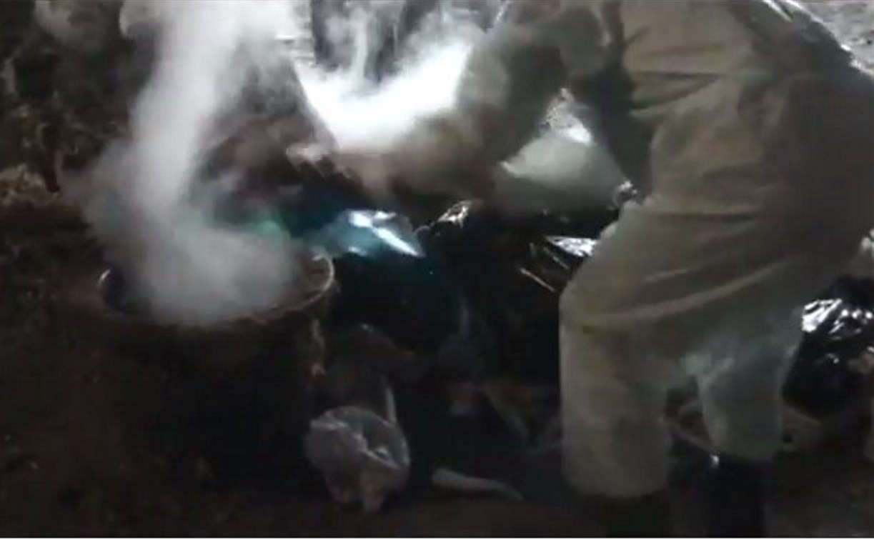 Россельхознадзор опубликовал видео сжигания мясной продукции в Тульской области
