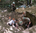 Тульские поисковики нашли в Арсеньевском районе останки восьми красноармейцев