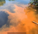 Экоактивисты выяснили, кто загрязняет реку Дон в Кимовском районе