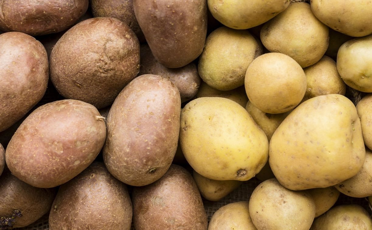 В Тульскую область из Ставропольского края поставили 68,8 тонн картофеля 
