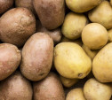 В Тульскую область из Ставропольского края поставили 68,8 тонн картофеля 