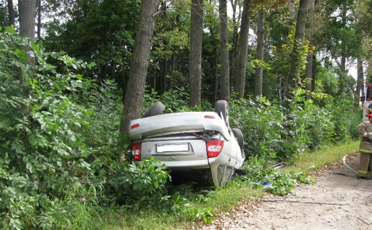 Под Тулой водитель «Лады Приоры» разбился насмерть,  врезавшись в дерево