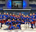 Новомосковский клуб «Виктория» победил в  хоккейном турнире имени Анатолия Тарасова  