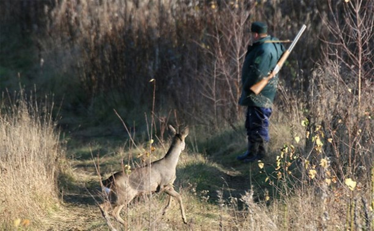 Тульские браконьеры заплатят правительству 168 тысяч рублей