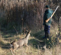 Тульские браконьеры заплатят правительству 168 тысяч рублей