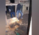 Закопал труп отчима в сарае 8 лет назад: житель Болоховского сделал явку с повинной