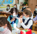 В четырех школах Тульской области частично приостановлен учебный процесс