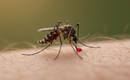 Жизнь Тулы и области