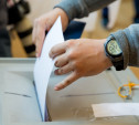 На местных выборах в Тульской области досрочно проголосовали более 700 человек