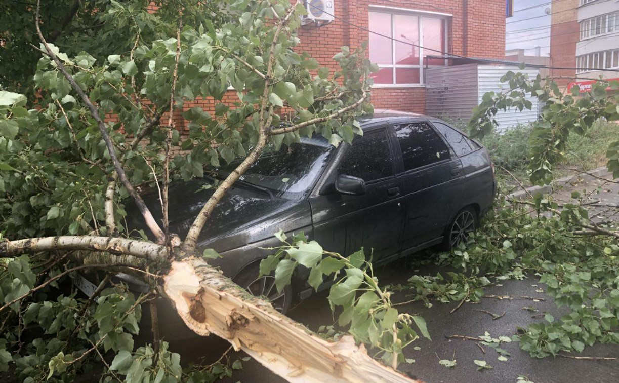 На Зеленстрое в Туле сильный ветер повалил дерево на машину