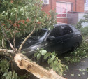 На Зеленстрое в Туле сильный ветер повалил дерево на машину