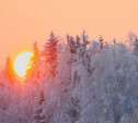 8 января: в Туле морозно