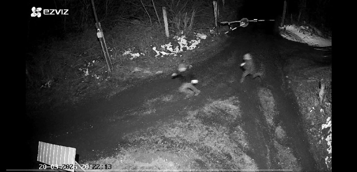 Двое туляков обокрали КМЗ: суд огласил приговор 