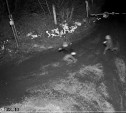 Двое туляков обокрали КМЗ: суд огласил приговор 