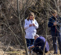 В Туле у школы рядом с Баташевским садом нашли скелет