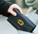 Туляк украл кошелек у студентки возле университета