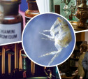 Кокаин, блохи и Феб: какие тайны хранят тульские музеи