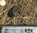  Кусок метеорита, напугавшего жителей Ефремова, найден в Липецкой области