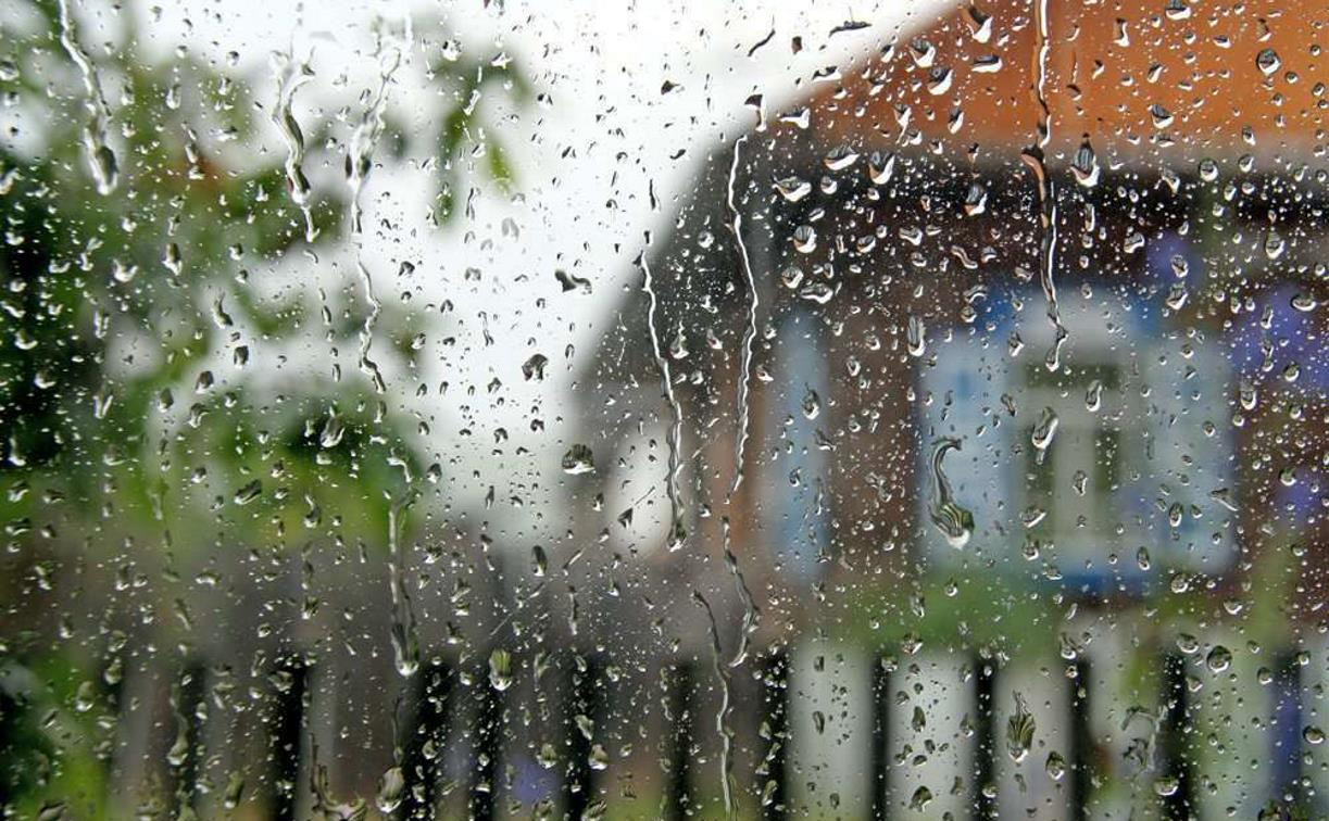 Погода в Туле 1 августа: кратковременный дождь, до +23 градусов