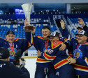 Команды Тульской области стали победителями Ночной хоккейной лиги