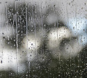 Погода в Туле 17 апреля: облачно, мокро и ветрено