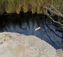 «Озеро» с нефтепродуктами в тульском поселке засыпают доломитовой мукой