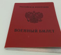Депутаты Госдумы ограничили срок явки в военкомат по электронной повестке до 30 дней