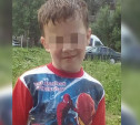 В Туле 9-летний ребенок после ссоры с мамой ушел из дома и пропал