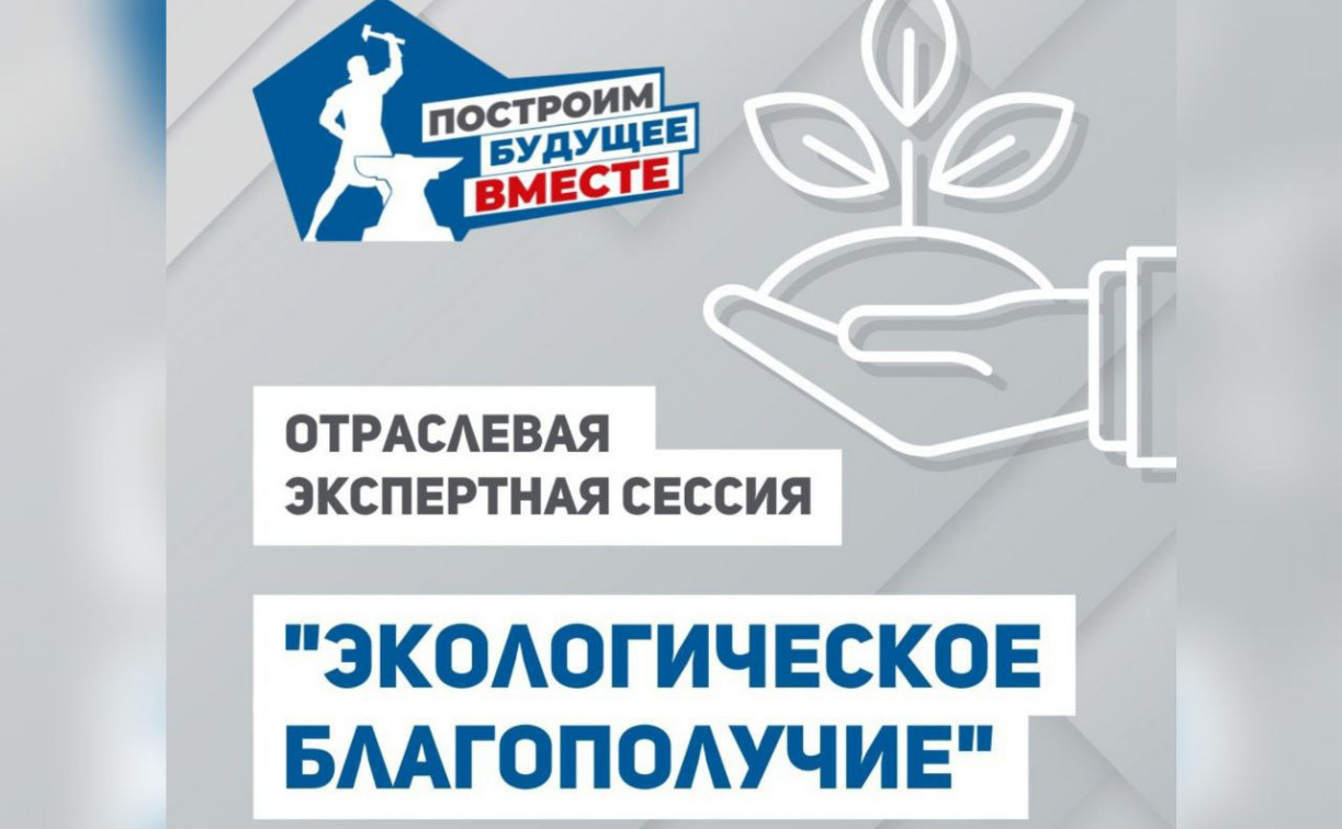 «Экологическое благополучие»: в Тульской области обсуждают Программу развития региона до 2030 года