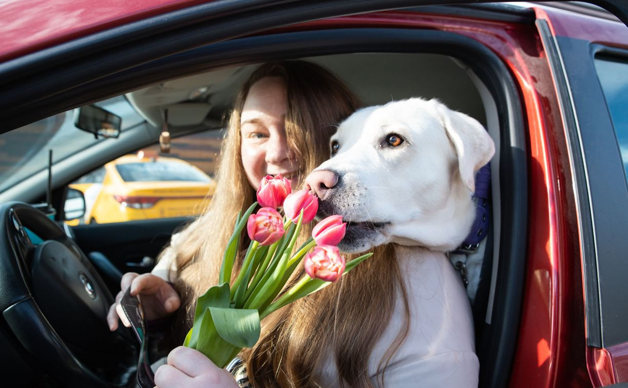 «Цветочный патруль» на тульских дорогах: компания «Автоимпорт» и ГИБДД дарили цветы автоледи