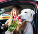 «Цветочный патруль» на тульских дорогах: компания «Автоимпорт» и ГИБДД дарили цветы автоледи