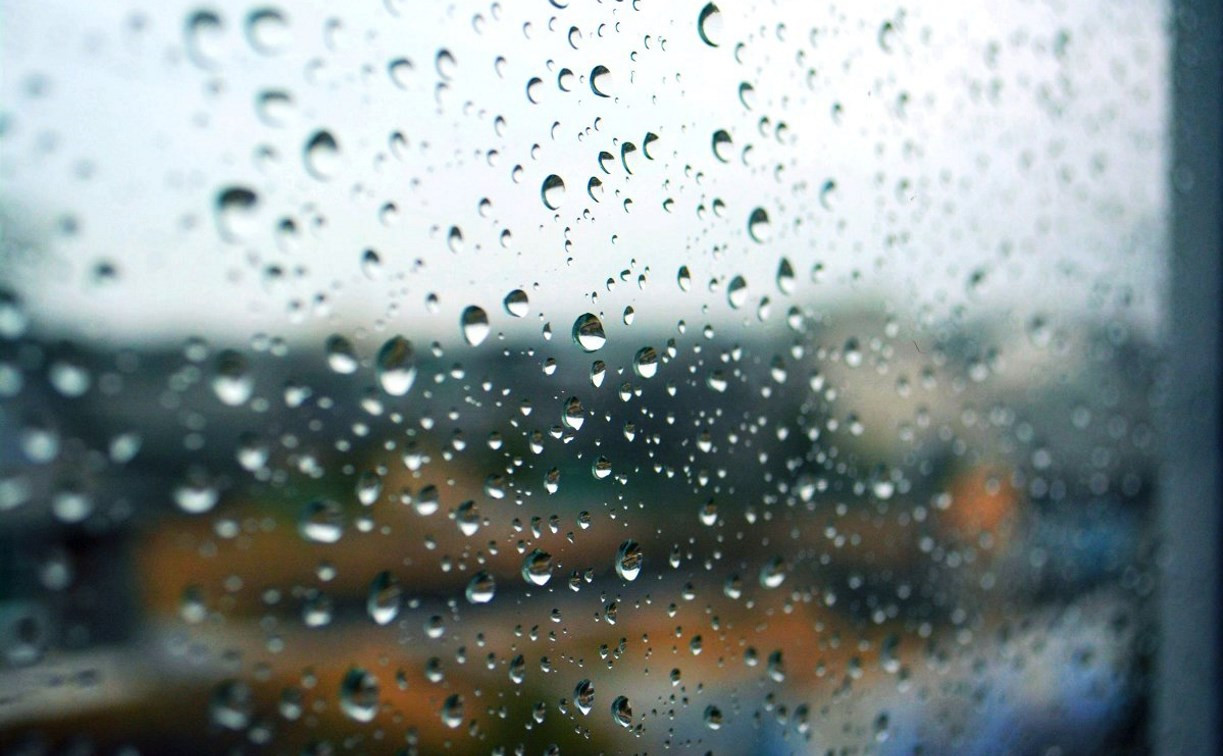 Погода в Туле 4 апреля: дождливо, ветрено, до +12 градусов