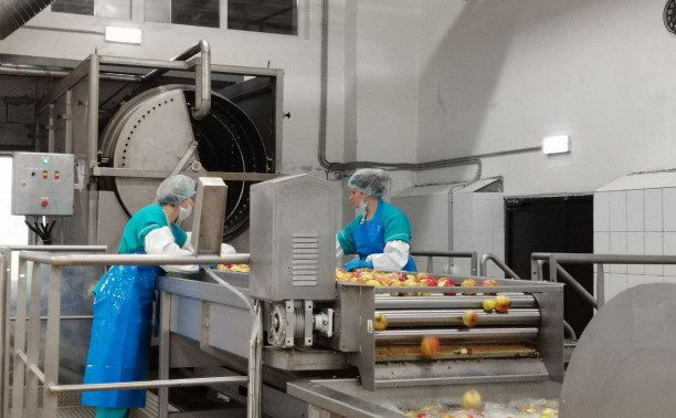 В Белеве после реконструкции запустили завод по производству яблочного пюре