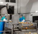 В Белеве после реконструкции запустили завод по производству яблочного пюре