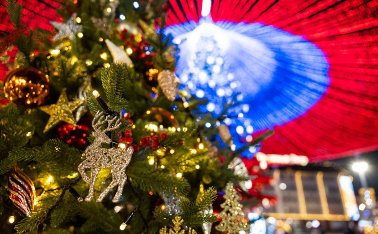 Какая погода ждет Тулу в новогоднюю ночь?