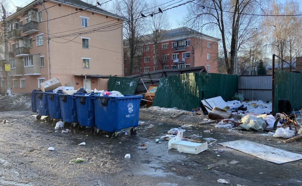 «Птиц столько, что Хичкок отдыхает!»: туляки бьют тревогу из-за состояния контейнерной площадки в Малых Гончарах