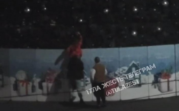 В Туле трое мужчин сняли несколько новогодних шаров с ёлки на Ложевой: видео