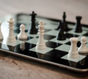 Туляков приглашают на бесплатные онлайн-занятия по шахматам