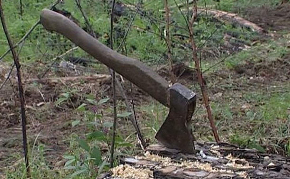 Экс-руководители  ГУ «Чернское лесничество» и ООО «Черньлесресурс» осуждены за незаконную вырубку деревьев