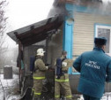За два дня на пожарах в Тульской области погибли семь человек