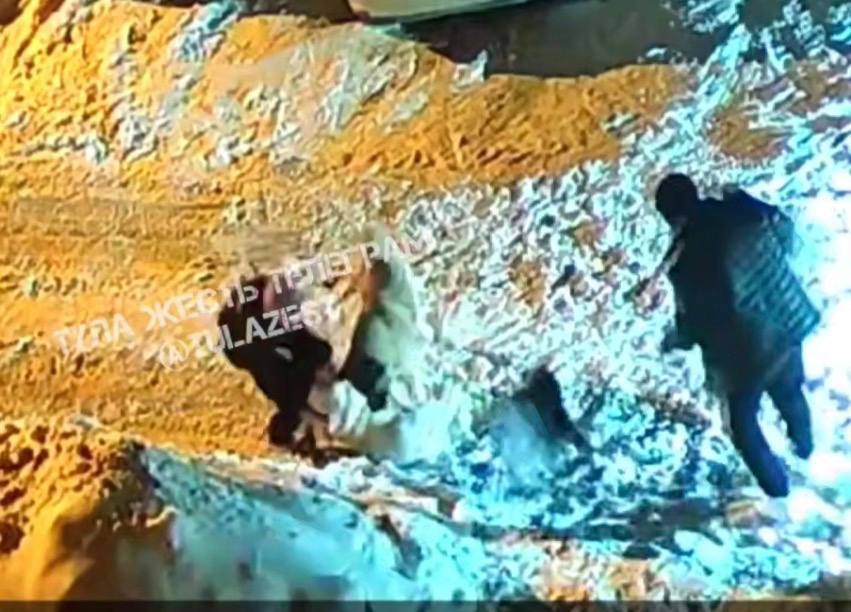 В Суворове агрессивный пес едва не загрыз подростка с собакой 