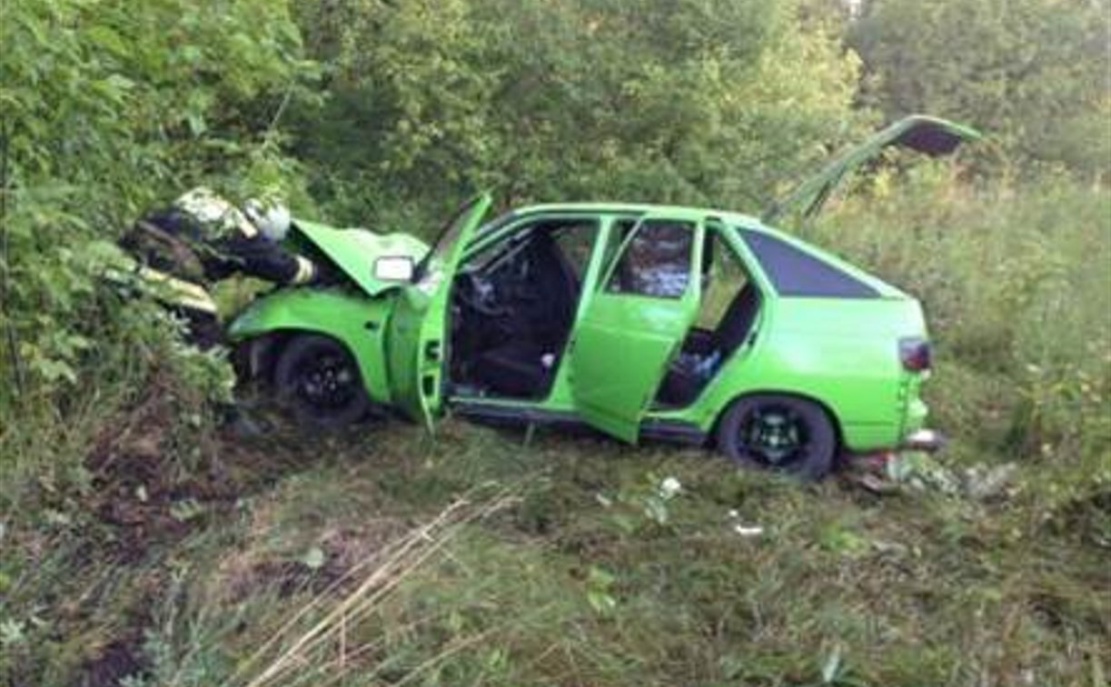 В Тульской области в результате аварии два ВАЗа вылетели в кювет