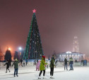 Новогодняя елка обойдется Туле в 1,1 млн рублей